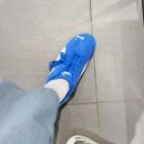 로열블루 | PUMA / 핀터레스트 코디 하기 딱 좋은 / 푸마 스피드캣 OG 팀 로얄 블루 내돈내산 솔직후기