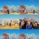 양3동주민센터 | [1회차-광주구석구석여행] '꽃보다 언니'팀, 발산마을에 가다!