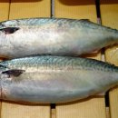 아버지와고등어 이미지