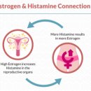 Re:히스타민 분해효소로 해결하는 문제들 - 에스트로겐 과다(월경통, 폐경) 이미지