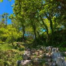 오늘도푸른 이미지