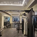 아벨라 짐 이미지