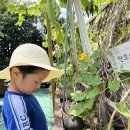 🧑‍🍳요리활동 - 단호박부침개🥣 이미지