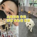 대전 둔산동 탄방동 속눈썹 연장 - 스튜디오 우디 (진짜 추천)