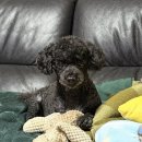 울아빠세탁소 이미지