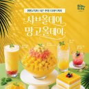 올데이