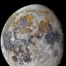 선명이네 이미지