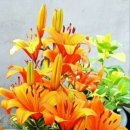 함께사는세상(주) 이미지