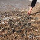 대산연합의원 이미지