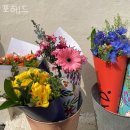 포헤드