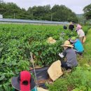 입암면사무소 이미지