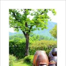 오월의햇살