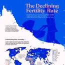 세계의 급락하는 출산율을 시각화하다 이미지