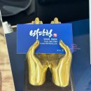 엘가.비단청