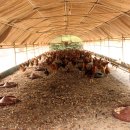 연수네농장 이미지