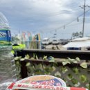 콩이네 민박 이미지