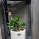 쌍용골프존파크 이미지