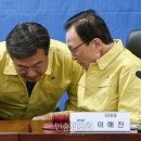 도리미디어 이미지