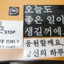 디오펫샵 이미지