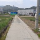 밀양농협주유소 이미지