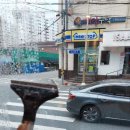이디야커피숍전주
