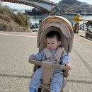 아라마루 | 경남 사천 아기랑 가볼만한곳 아라마루 아쿠아리움 후기