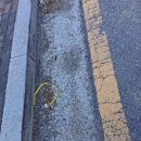 춘천시풍물시장 공영주차장 입구 이미지