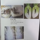 하늘농약사 | 대전 복용동 주말농장에서 걸어서 5분 거리, 하늘농약사