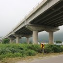 장본대교