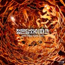 주천119지역대 | 영월 젊은달와이파크 강원도 추천 여행지 할인, 카페, 근처 맛집
