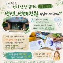 색연필로 그리는 진천의 생태 | 경기상상캠퍼스 생활창작공방 상상_생태정원 수업 후기, 비 오는 날에도 그림에 눈뜨다