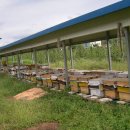 금주농장 이미지