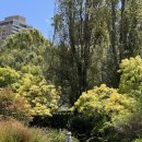 피츠로이가든 이미지