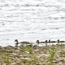 매일목욕탕 이미지