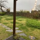 제주 이리스 이미지