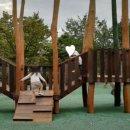 코끼리게임장 이미지