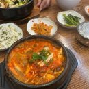 안나하우스벨리 이미지