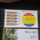 현경농장 네이버블로그