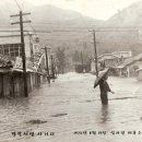 하방환경 Daum카페