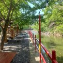 조나단 민박 이미지