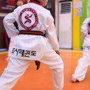 학사태권도 이미지