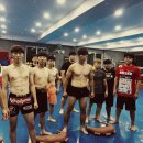 울진 제일약국 이미지