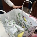 멍멍이 과자점 | 삿포로 과자점 롯카테이 방문후기