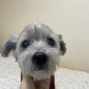 LOVE MY PET 동물병원 이미지