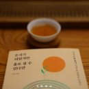 일광정사