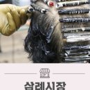 까치헤어샵 - 목포시 원산로145번안길 16 | 까치헤어샵
