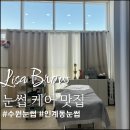 리사브로우 이미지