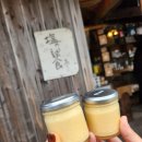 EG투어버스 G코스 | 일본 후쿠오카 이토시마 버스투어 하루 코스 후기 감성 여행