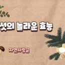 독산천 티스토리