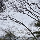 이가 이미지